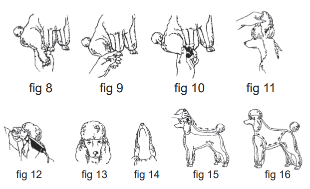 Wahl Lithium Pro Series Clipper Instructions - fig