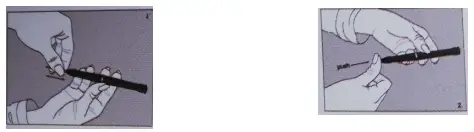 Insert the new refill