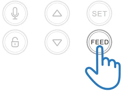 Lionpapa Pet Automatic Feeder - 13