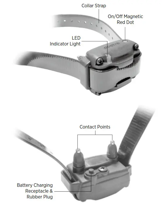 dogtra Traning e coller Contact Points