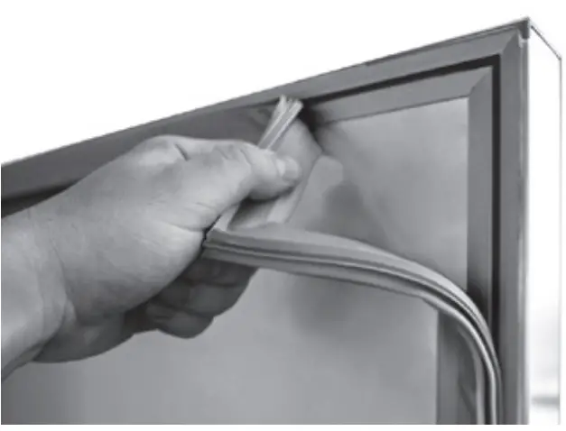 CLEANING OR REPLACEMENT OF THE DOOR GASKETS