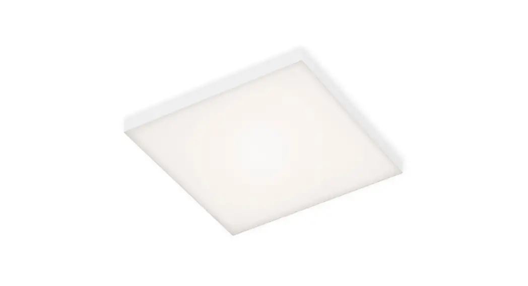 Paul Neuhaus 8086 Q-flag Ceiling Light Instruction Manual Paul Neuhaus 8086 Q-flag Ceiling Light Instruction Manual