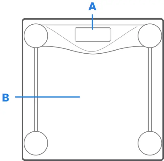 Elekcity EB4074C Digital Body Weight Scale 02
