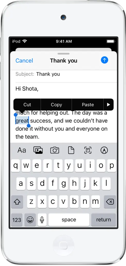 A sample email message with some of the text selected. Above the selection are the Cut, Copy, Paste, and Show More buttons. The selected text is highlighted, with handles at either end.