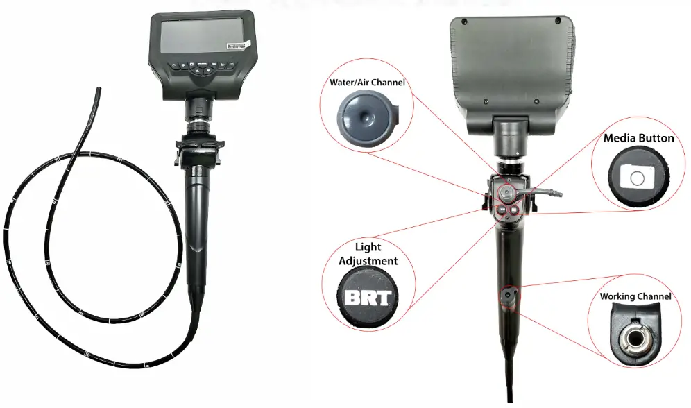 Vividia YE 4 8015 Veterinary Endoscope