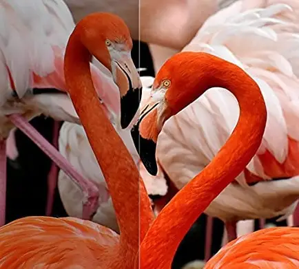 KJHD-W18-Mini-Home-Theater-LCD-Projector-FIG-2