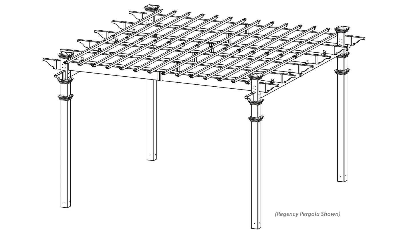 Introduction & Overview