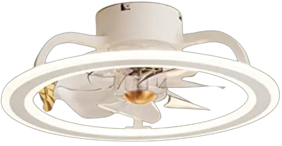 EKIZNSN F073 20 Inch White Modern Indoor Ceiling Fan