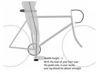 evinci-ROBIN-Electric-Bicycle-FIG 7