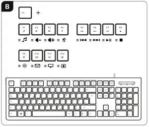 Assembly Instruction