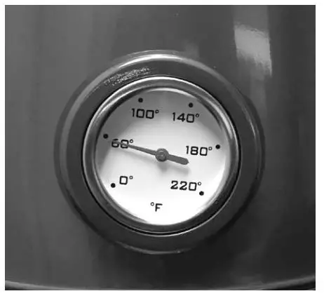 NOSTALGIA WK1 Series RWK150AQ Retro Electric Water Kettle - Thermometer