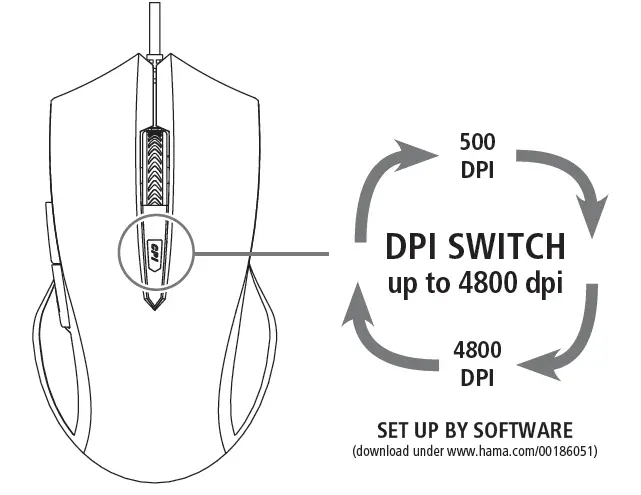 DPI-Switch