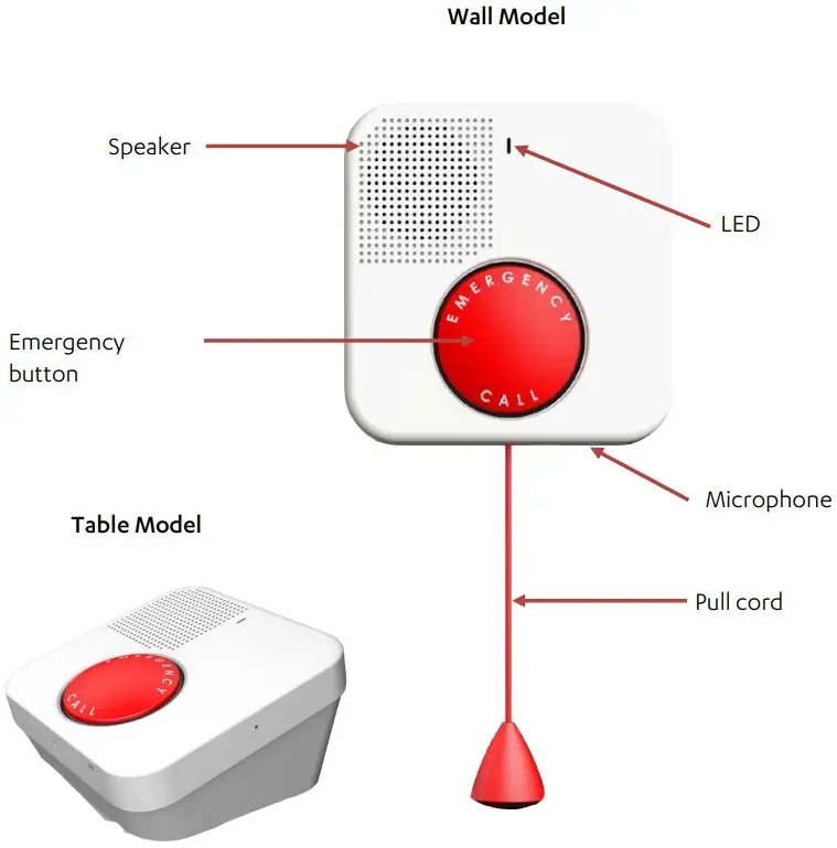 essence smartcare ES700VPD2 Care Home Communicator 2.0 - Overview