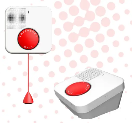 essence smartcare ES700VPD2 Care Home Communicator 2.0