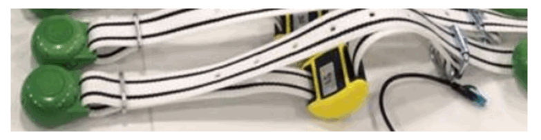 DATAMARS COLLARTAG Radio Control Collar Tag - Figure 2