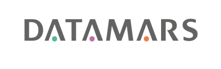 DATAMARS logo