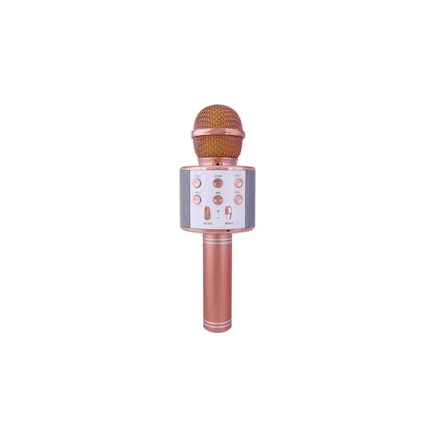 Shenzhen Haizhiyin Technology Ws858 Bluetooth Microphone Instructions