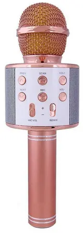 Shenzhen Haizhiyin Technology WS858 Bluetooth Microphone