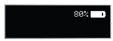 TYPE S AC532632-1 Jump Starter and Wireless Power Bank 13