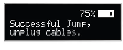 TYPE S AC532632-1 Jump Starter and Wireless Power Bank 19