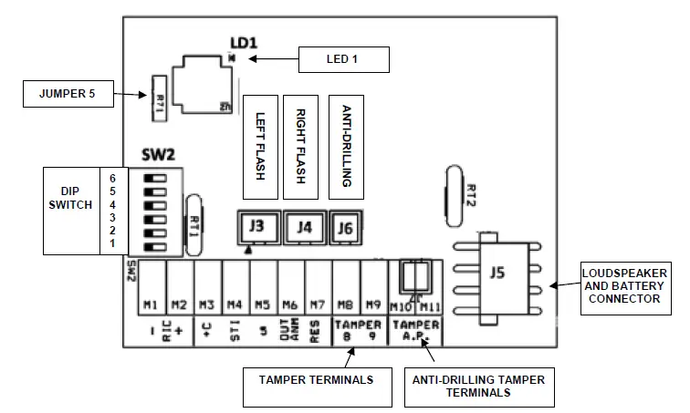 VENITEM-L-LS-LSP-HEMA-01