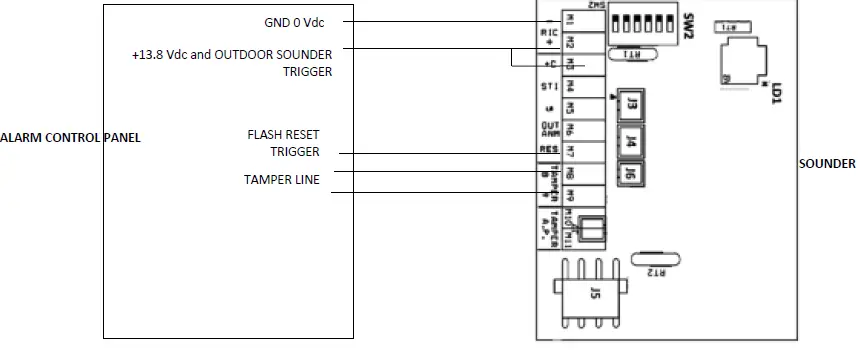 VENITEM-L-LS-LSP-HEMA-03