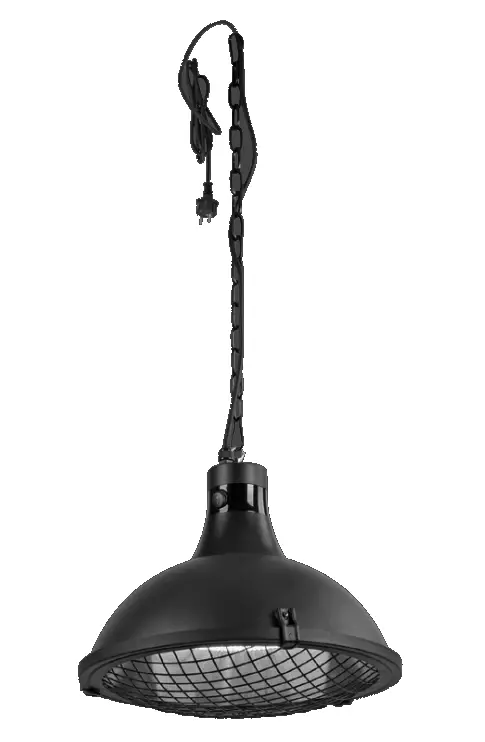 99511-18 Ceiling Lamp