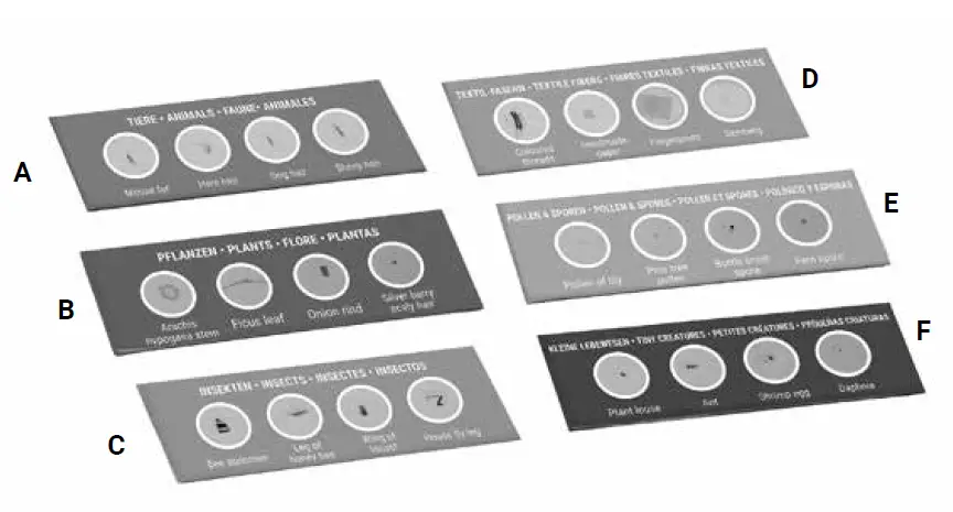 BRESSER-8859470-JUNIOR-Experime