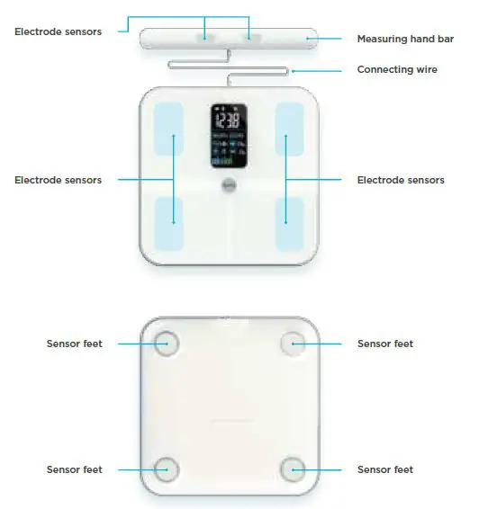 Aura-Full-Body-Analysis-Scale-02