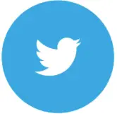 Twitter Icon