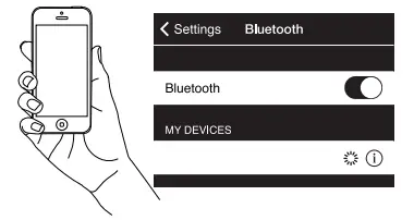 Bluetooth Pairing