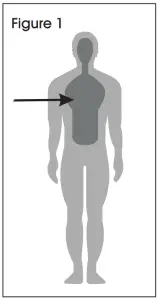 ULINE H 8862 Infrared Forehead Thermometer - ULINE H-8862 Infrared Forehead Thermometer