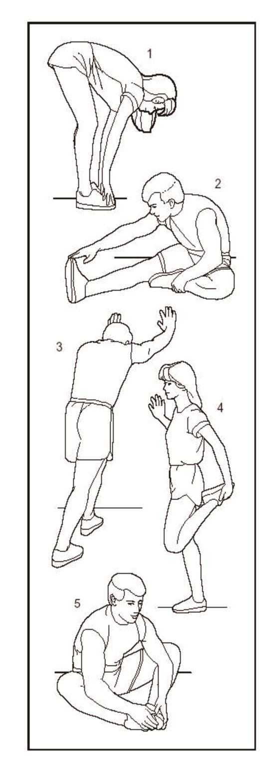 VIGBODY HL-M01 Indoor Cycling Bike Stationary Exercise Bike - Overview 2