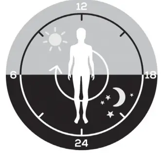 beure-TL-45-Perfect-Day-Daylight-Therapy-Lamp-1