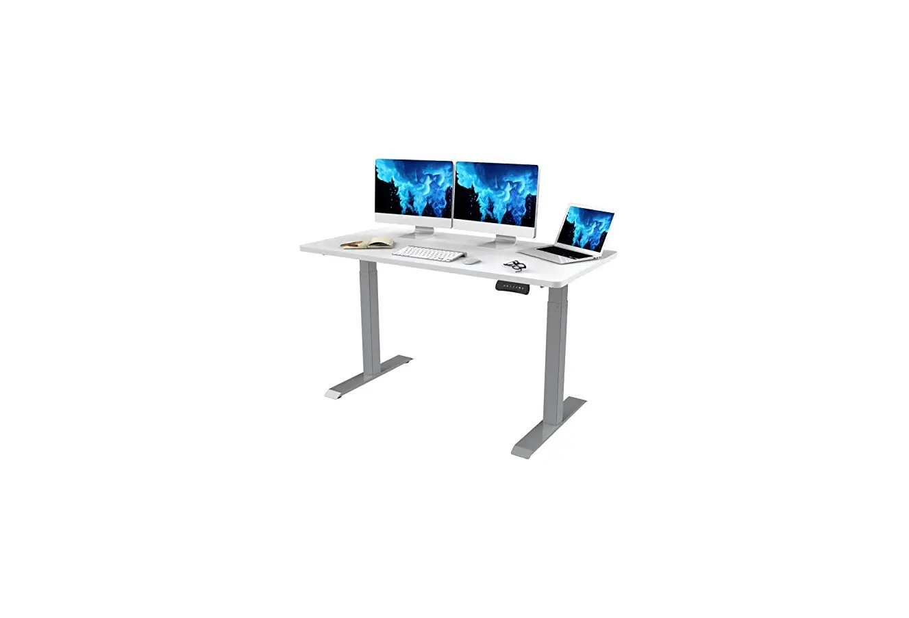 Flexispot Ec3b-v2 Ec3 Dual Motor Electric Standing Desk Installation Guide