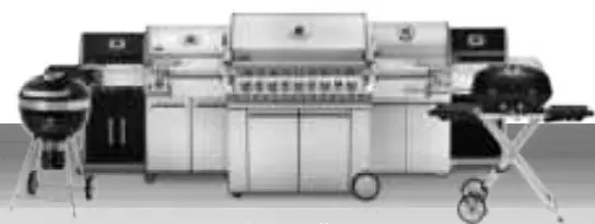 NAPOLEON PRO285X Gas Grill - Figure 1