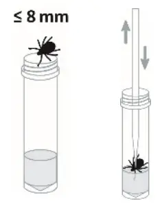 nal-von-minden-NADAL-Borreliosis-Ag-Test-fig1