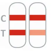 nal-von-minden-NADAL-Borreliosis-Ag-Test-fig3