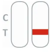 nal-von-minden-NADAL-Borreliosis-Ag-Test-fig5