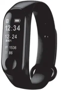 SW300 Smartwatch