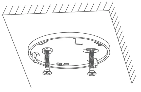Assembly Instruction