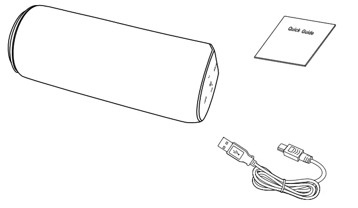 CANYON CNS-CBTSP5 Wireless Speaker -fig
