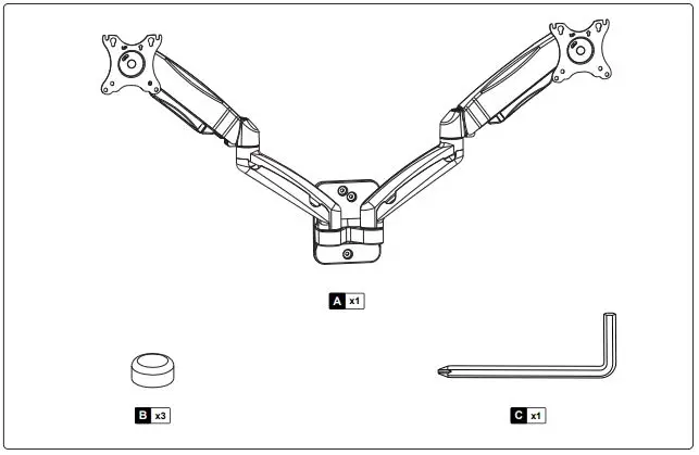 RICOO S4711 v2008 fig 1