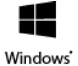 Window icon