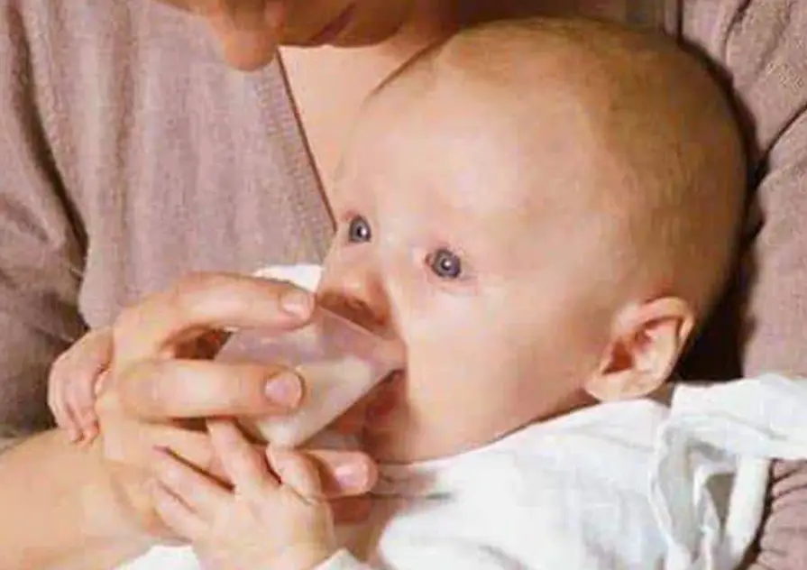 Medela 0079789 Baby Cup Instructions Medela 0079789 Baby Cup Instructions