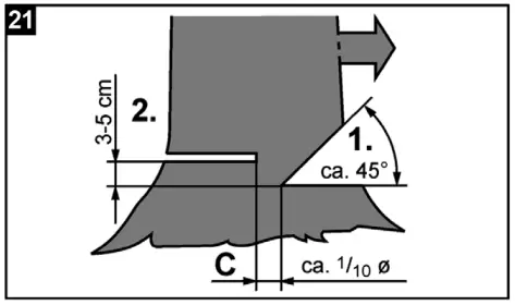 Tree felling takes place in two steps