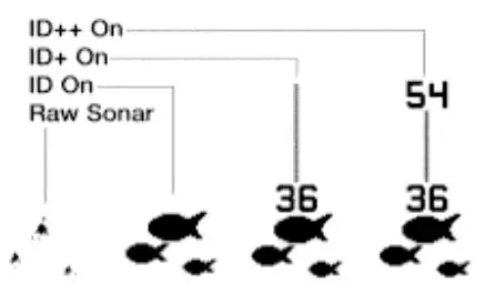 HUMMINBIRD 203930994 Wide Paramount Fish Finder - FIG 15