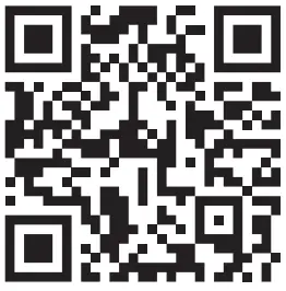 steinel L 800 LED Outdoor Wall Light - FIG 13