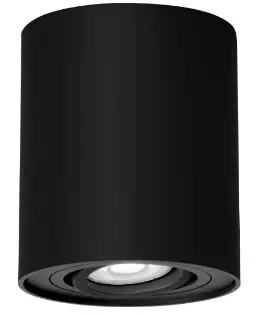 one-LIGHT-11107TTR-Recessed-Trimless-Adjustable-Spot-Instruction-product