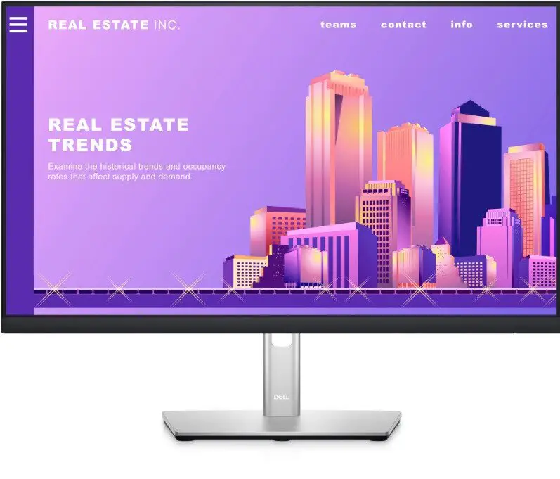 Dell-P2422H-24Inch-LED-Monitor-PRODUCT-IMG